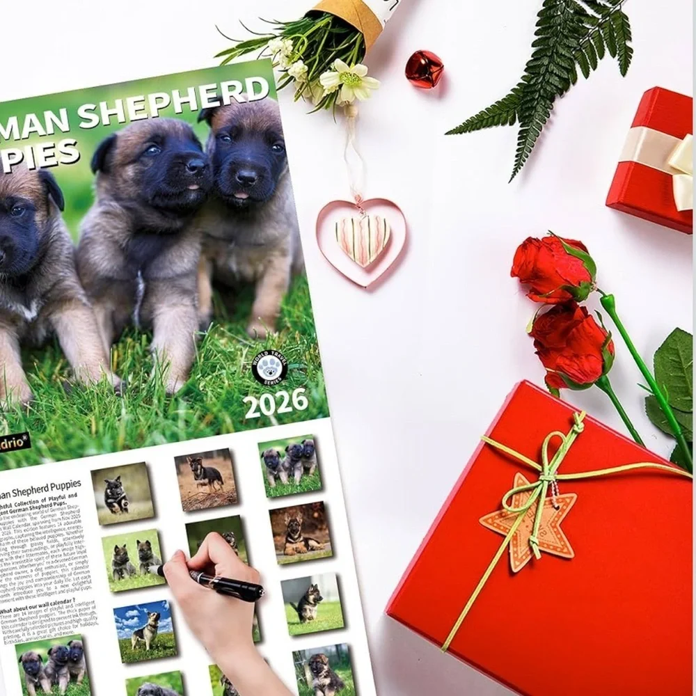 New 2026 Wall Calendar German Shepherd Puppies Nov 2025–Dec 2026, 12